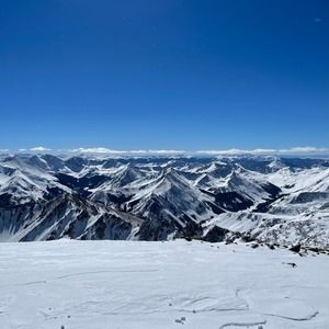 Meet your Posher, Brayden